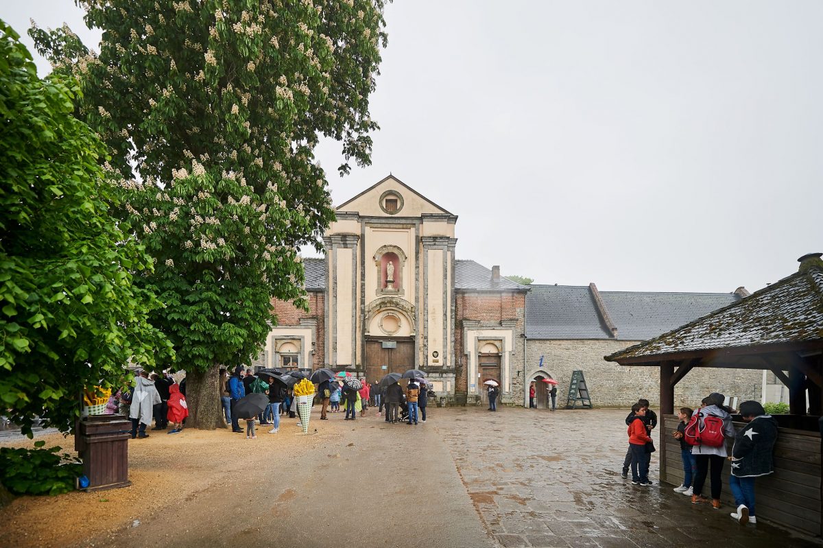 Yes, I saw the pandas !