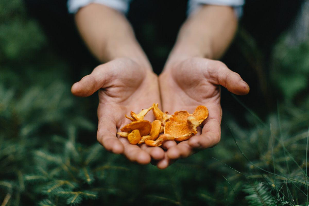 Timmeren aan de (trage) weg