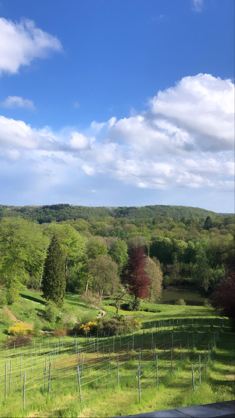 Sors de ton kot et pars en voyage chez Erasmushogeschool !