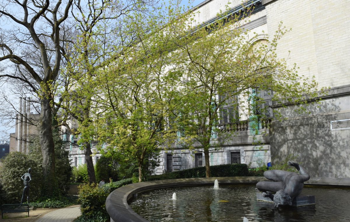 Become part of a community at Spotted by Locals