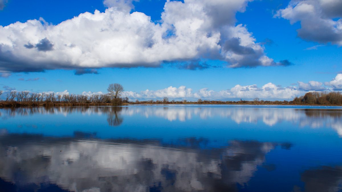 How I accidentally had the best work experience of my life.