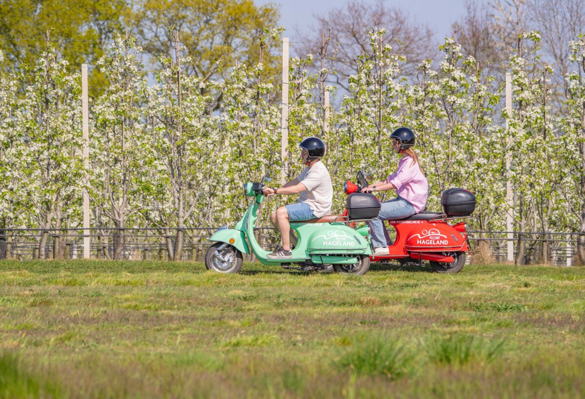 Op stap in Vlaams-Brabant: Mijn stage bij VISIT Vlaams-Brabant
