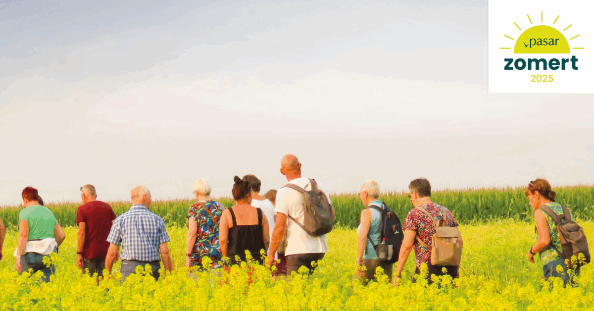 Passion, créativité et apprentissage : mon stage enrichissant chez Pasar