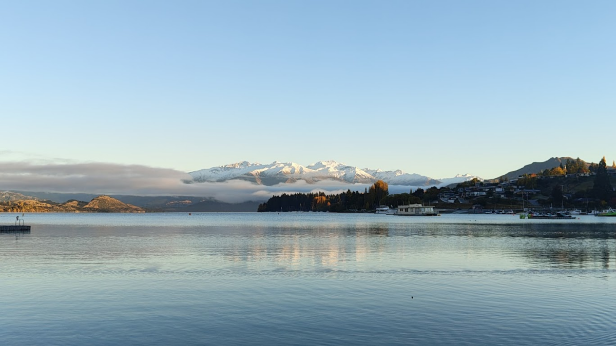 Welcome to the land of the Kiwis!